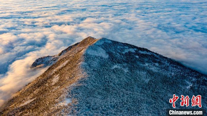 圖為朱雀國(guó)家森林公園內(nèi)初冬雪景?！≈烊竾?guó)家森林公園供圖