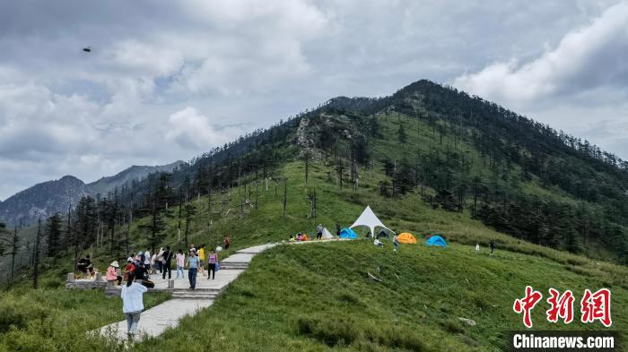 圖為游人在秦嶺山間踏青?！≈烊竾?guó)家森林公園供圖