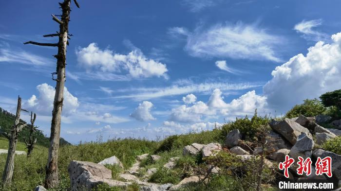 圖為秦嶺山間一景?！≈烊竾?guó)家森林公園供圖