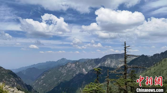 圖為綿延的秦嶺山巒?！≈烊竾?guó)家森林公園供圖