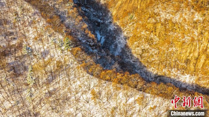 圖為秦嶺山間?！√絿?guó)家森林公園供圖