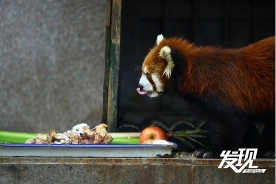 1716350112735314.png?x-oss-process=style/w10 image.png?x-oss-process=style/w10