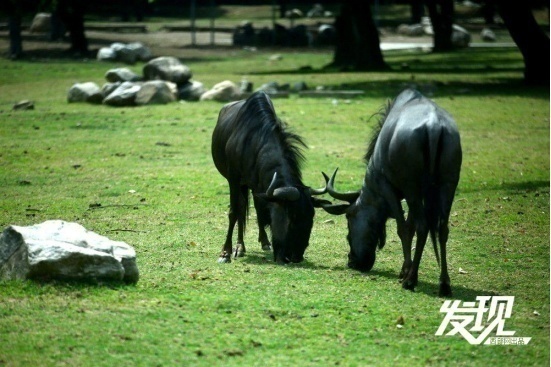 1716350088377965.png?x-oss-process=style/w10 image.png?x-oss-process=style/w10