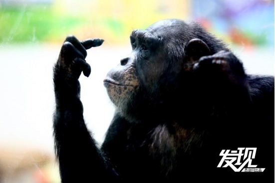 1716350126494895.png?x-oss-process=style/w10 image.png?x-oss-process=style/w10