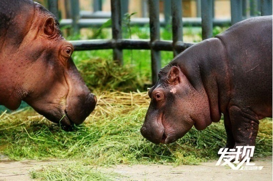 1716350052514091.png?x-oss-process=style/w10 image.png?x-oss-process=style/w10